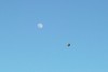http://aka.kite.org/images/agorapro/attachments/224/mini_Going-to-the-moon.JPG