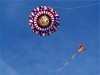 http://aka.kite.org/images/agorapro/attachments/3865/mini_HPIM0126.jpg