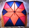 http://aka.kite.org/images/agorapro/attachments/4046/mini_100-0441.JPG