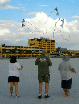 Vol035 KiteOberFest, Tampa Bay, FL